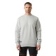 Džemperis HELLY HANSEN Evo Sweatshirt, pilkas 3
