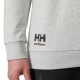 Džemperis HELLY HANSEN Evo Sweatshirt, pilkas 5