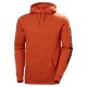 Džemperis su gobtuvu HELLY HANSEN HHWW Graphic Hoodie, oranžinis 1 Džemperis su gobtuvu HELLY HANSEN HHWW Graphic Hoodie, oranžinis 1