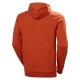 Džemperis su gobtuvu HELLY HANSEN HHWW Graphic Hoodie, oranžinis 2 Džemperis su gobtuvu HELLY HANSEN HHWW Graphic Hoodie, oranžinis 2