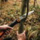 Šakų genėjimo pjūklas FISKARS 255mm 3