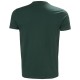 Marškinėliai HELLY HANSEN Classic 2.0 T-shirt, žali 2
