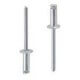 Kniedės MASTERFIX 4,8x16mm, 1000 vnt. 1