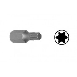 Antgalis TORX (30mm ilgio) KLANN