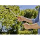 Purkštuvas GARDENA Plus 11138-20 5L 7
