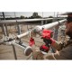Akumuliatorinis smūginis veržliasukis MILWAUKEE M18 FHIW2P12-502X 7