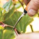 Kirpiklis žolelėms FISKARS Micro–Tip Solid SP160 9