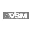 VSM gamintojo logotipas