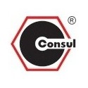 Consul gamintojo logotipas